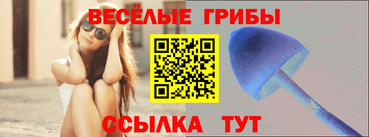Галлюциногенные грибы Psilocybe Усинск